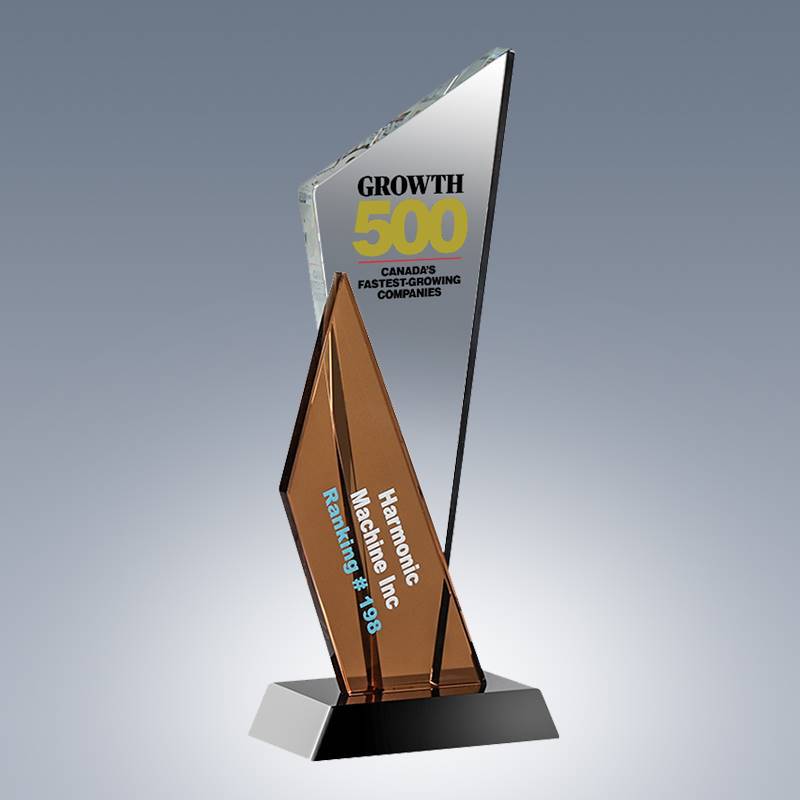 Customize Trophy Awards Plaque With Custom Logo Business Gift Achievement Hand Craft Trophy Awards Plaque